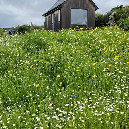 Elfin Cottage ポートリー エクステリア 写真
