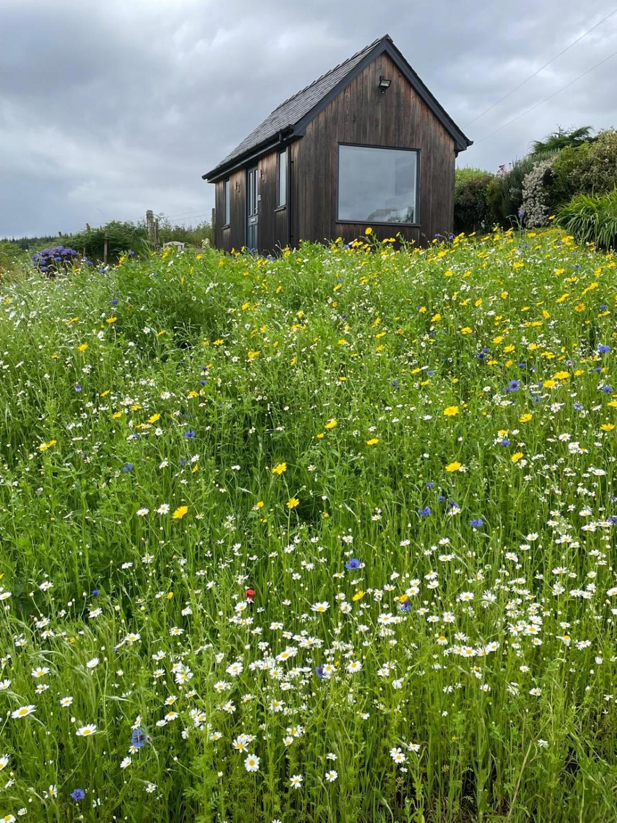 Elfin Cottage ポートリー エクステリア 写真